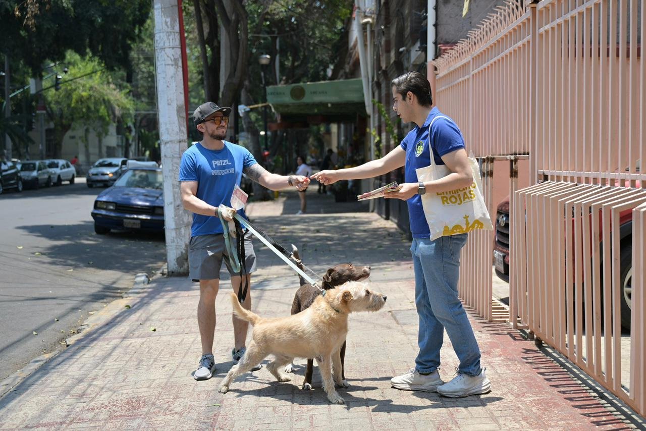 Jornada comunitaria de protección animal